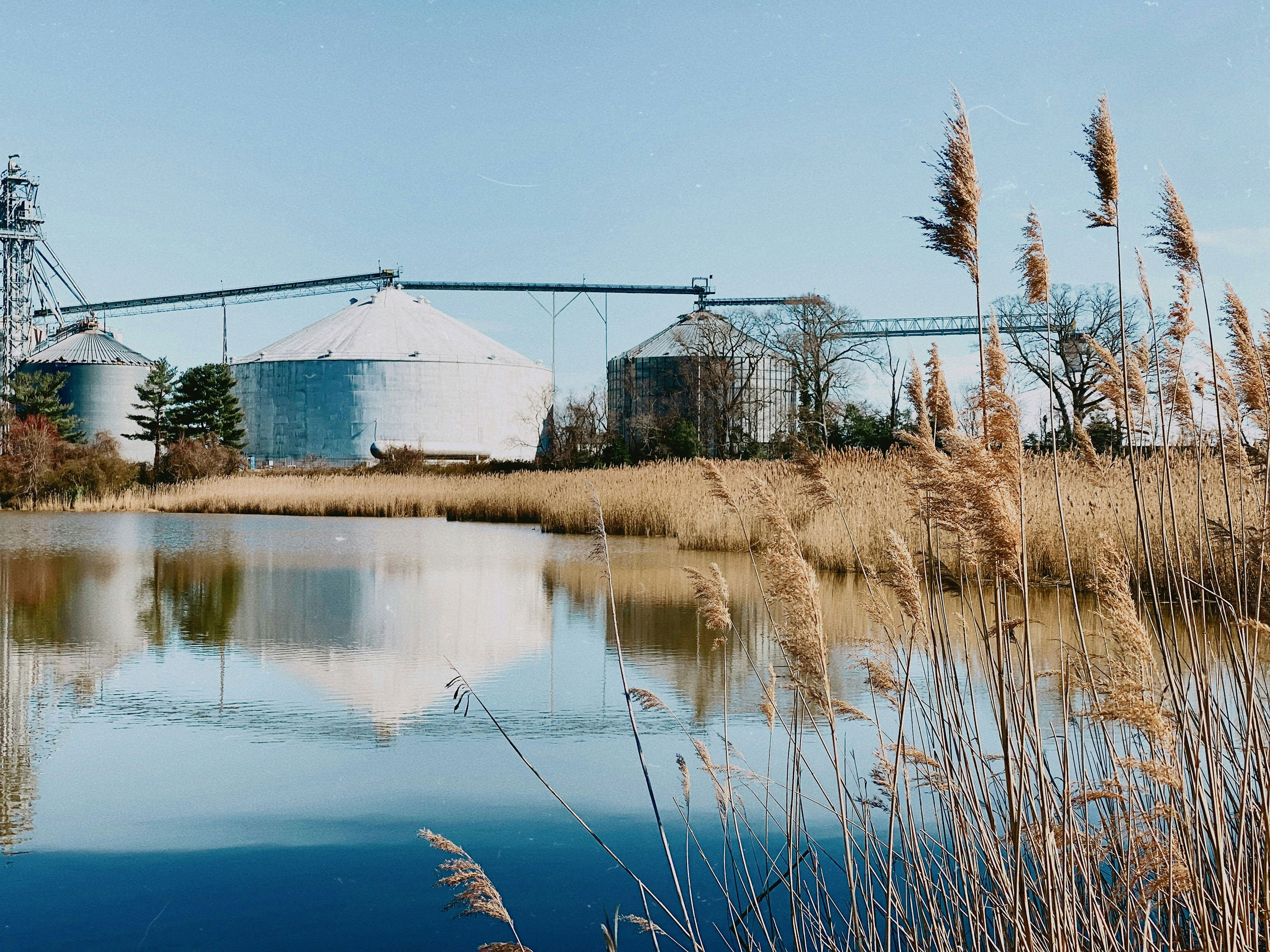 Green Innovation Week: Kan roer blive en ny grøn industri?