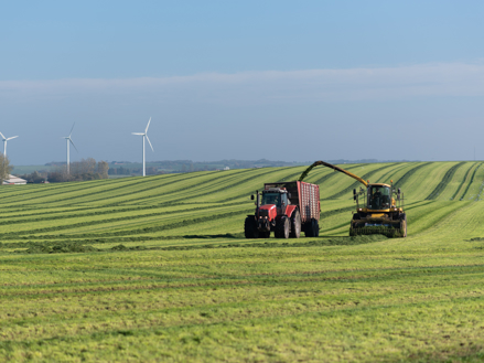 Input til regeringens vækstplan for fremtidens landbrug, fødevarer og biosolutions